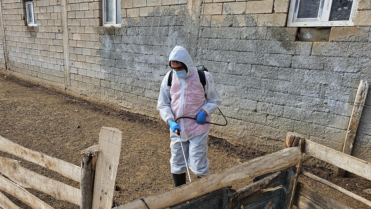 Bitlis’te “şap” karantinası